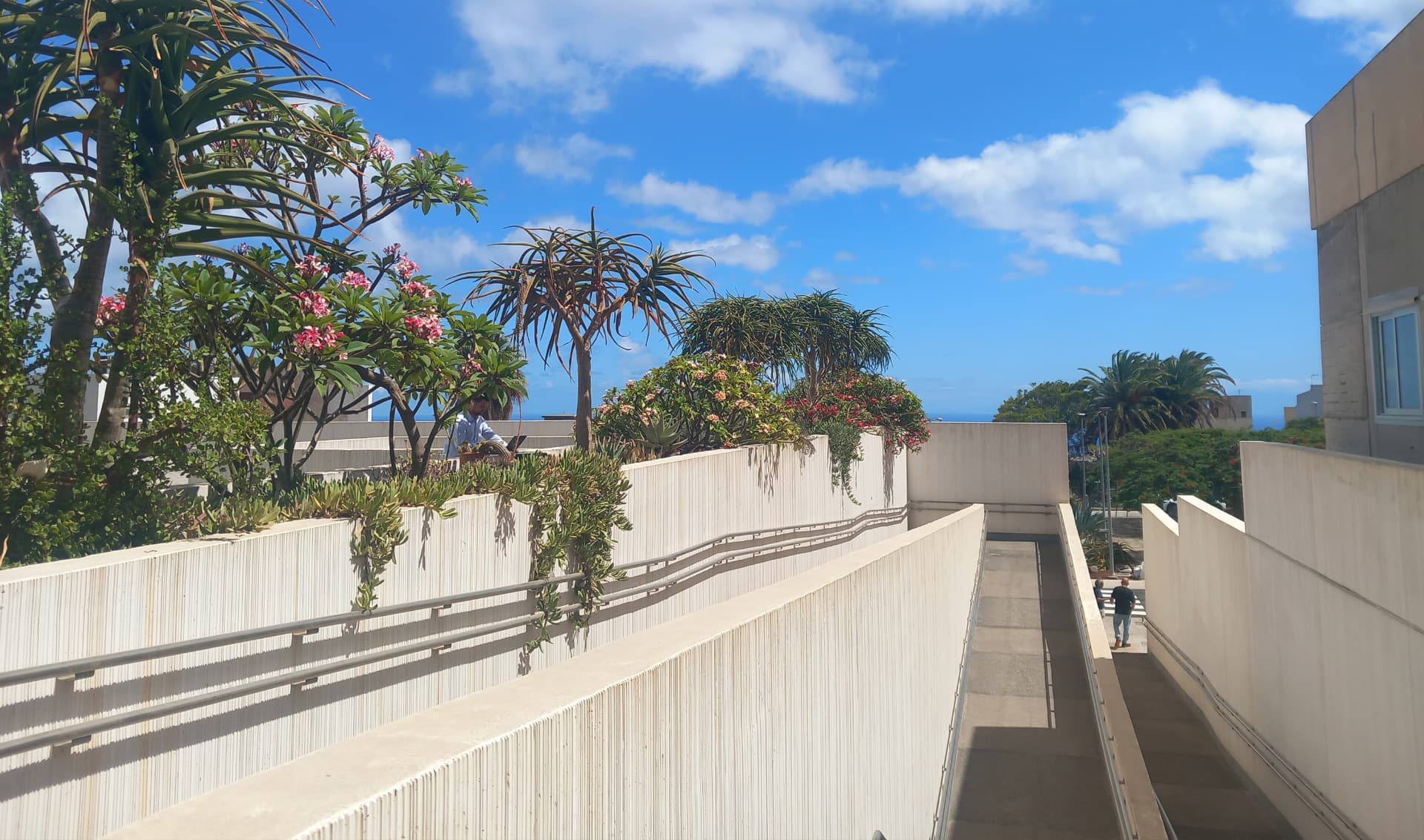 Acondicionamiento del acceso al Club de Estudiantes y remates entre el ITB y la Sección de Medicina de la ULL — proyecto de accesibilidad (Septiembre 2021) · VDP Arquitectos