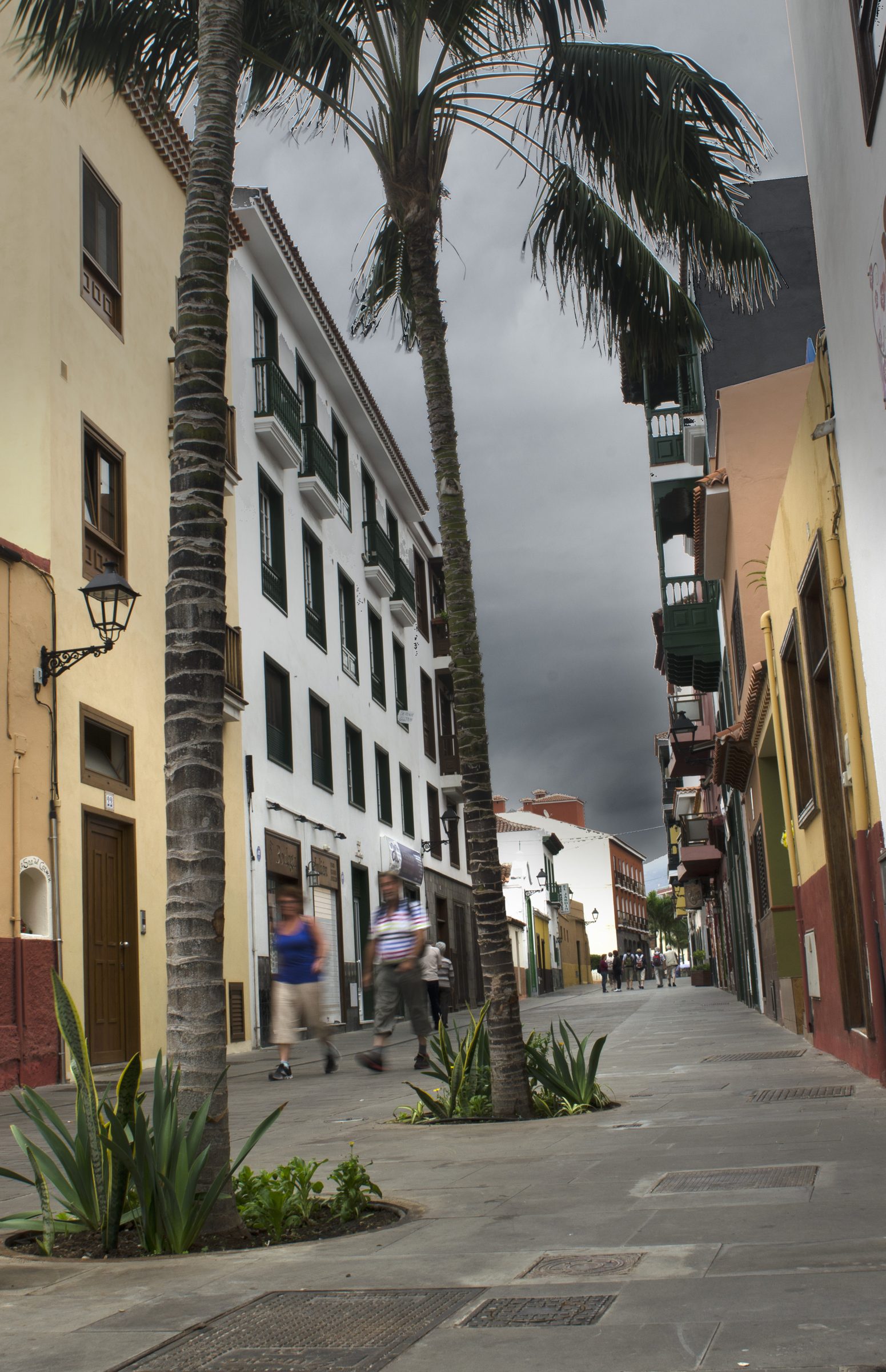 Acondicionamiento de la Calle Mequinez — imagen 4, espacios públicos en Puerto de la Cruz, Tenerife · VDP Arquitectos