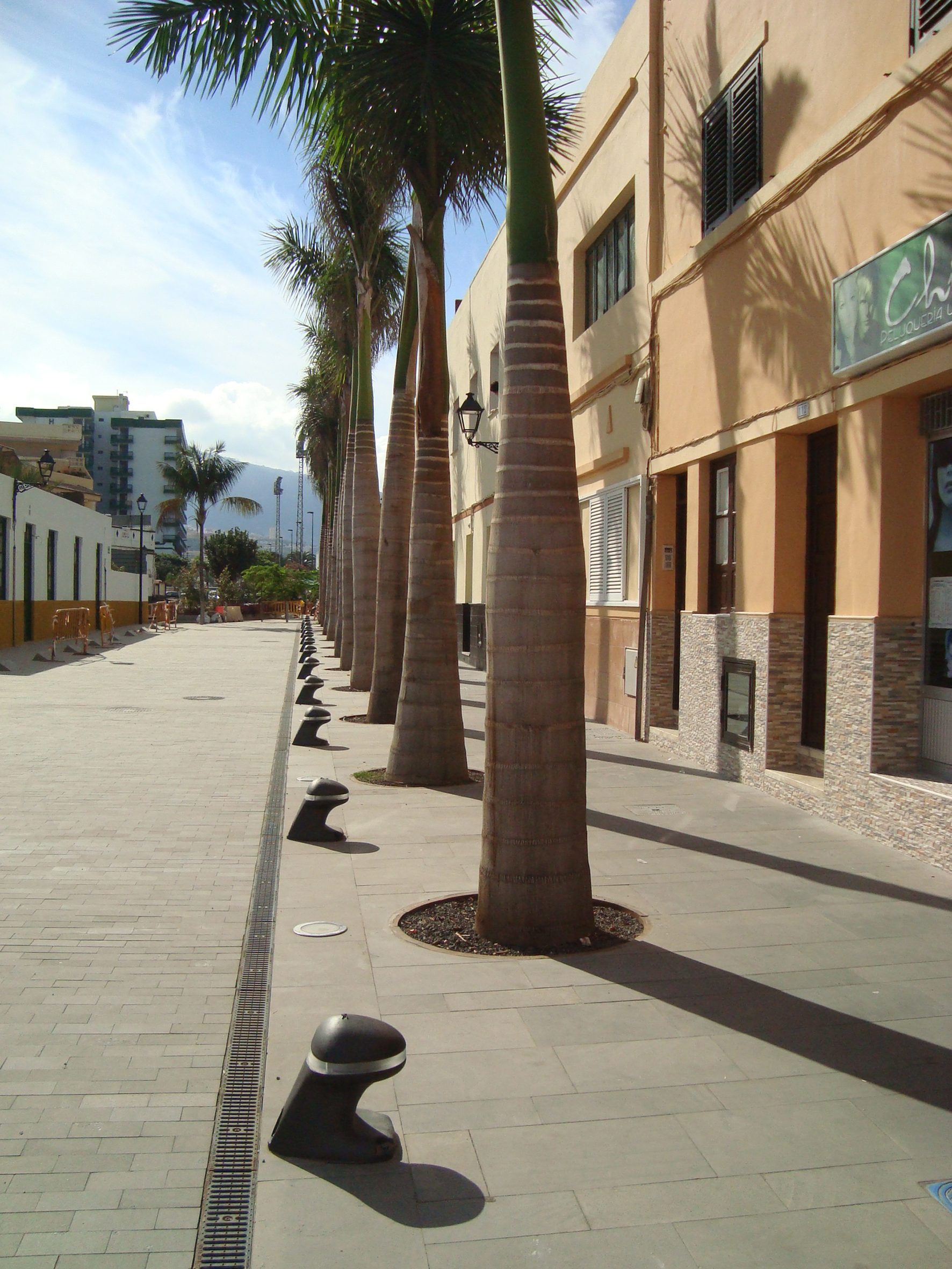 Acondicionamiento de la Calle Mequinez — imagen 8, espacios públicos en Puerto de la Cruz, Tenerife · VDP Arquitectos