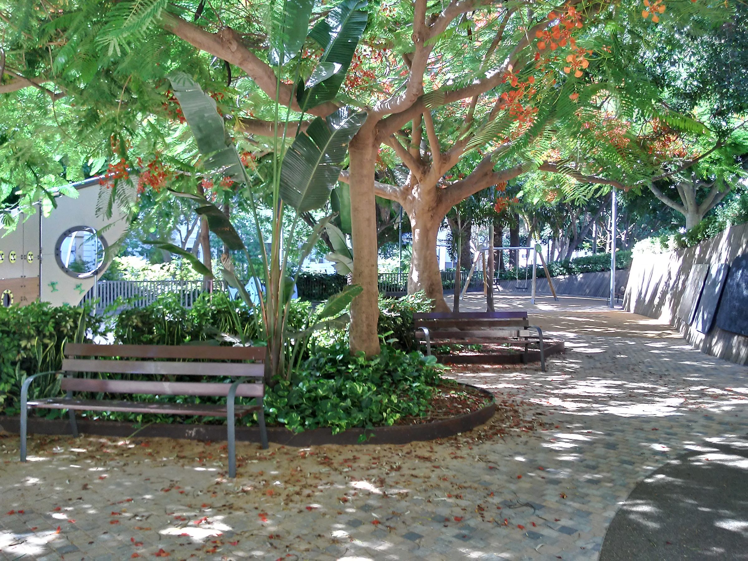 Remodelación del área de juegos infantiles del Parque García Sanabria de Santa Cruz de Tenerife — imagen 6, espacios públicos en Santa Cruz de Tenerife, Tenerife · VDP Arquitectos