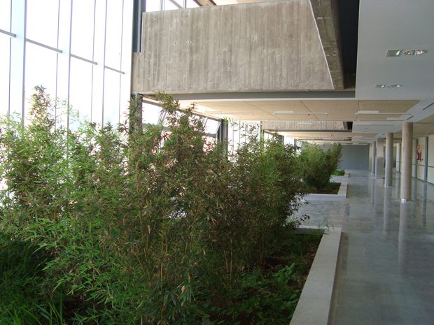 Complejo Hospitalario del Norte de Tenerife — sanitarios en Buen Paso, Icod de Los Vinos, Tenerife · VDP Arquitectos