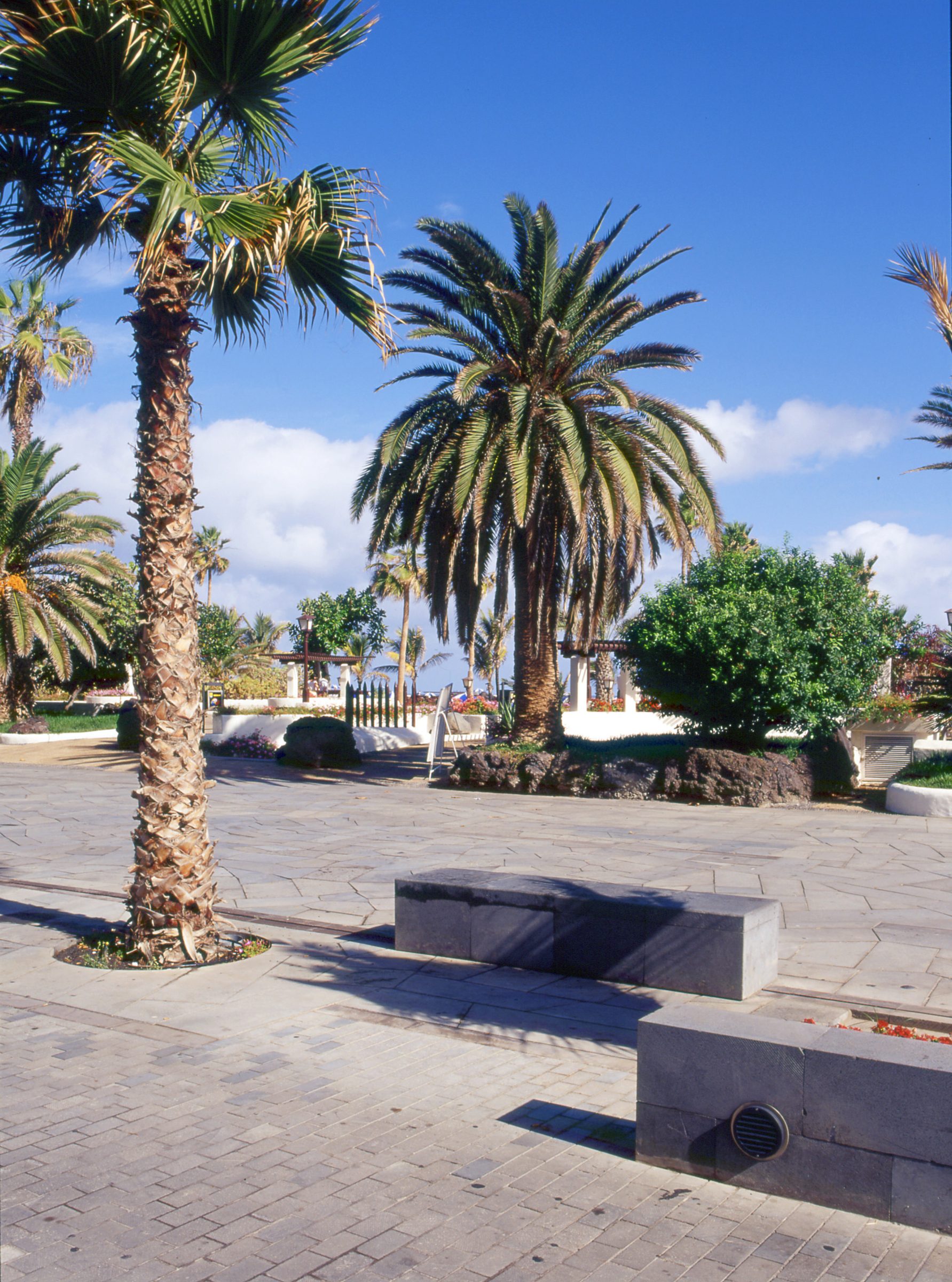 Remodelación del Paseo de Colón — imagen 4, espacios públicos en Puerto de la Cruz, Tenerife · VDP Arquitectos