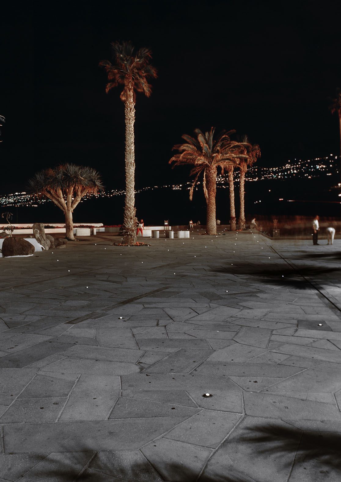 Remodelación del Paseo de Colón — imagen 3, espacios públicos en Puerto de la Cruz, Tenerife · VDP Arquitectos