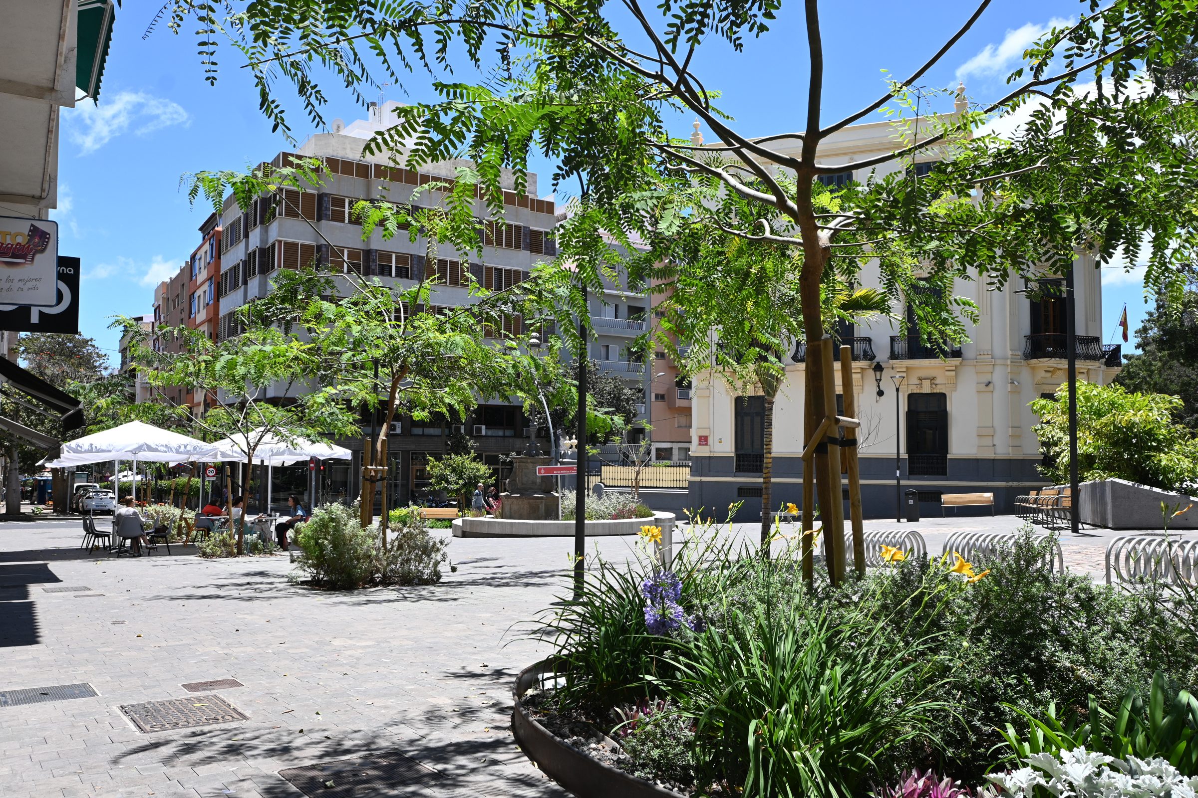 Plaza Milicias de Canarias — imagen 4, espacios públicos en Santa Cruz de Tenerife, Tenerife · VDP Arquitectos
