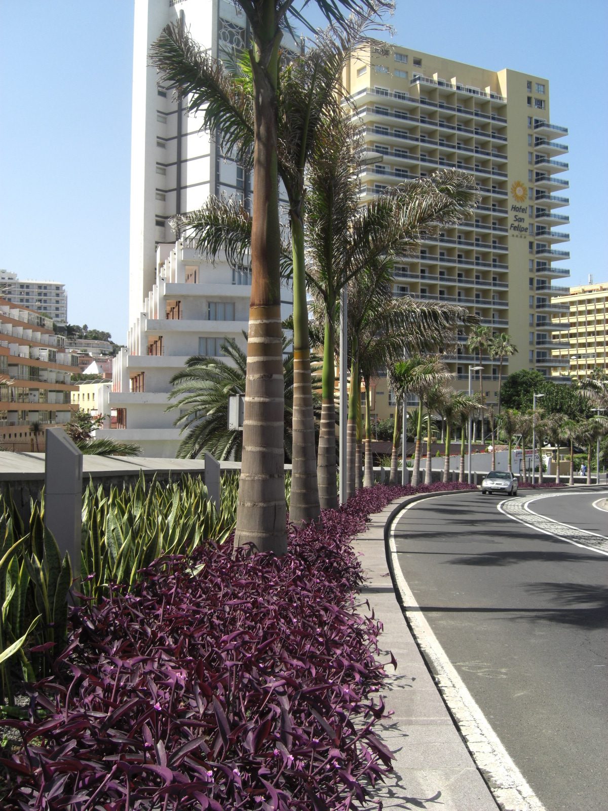 Remodelación Peatonal junto a Túnel de Martiánez — imagen 1, espacios públicos en Puerto de la Cruz, Tenerife · VDP Arquitectos