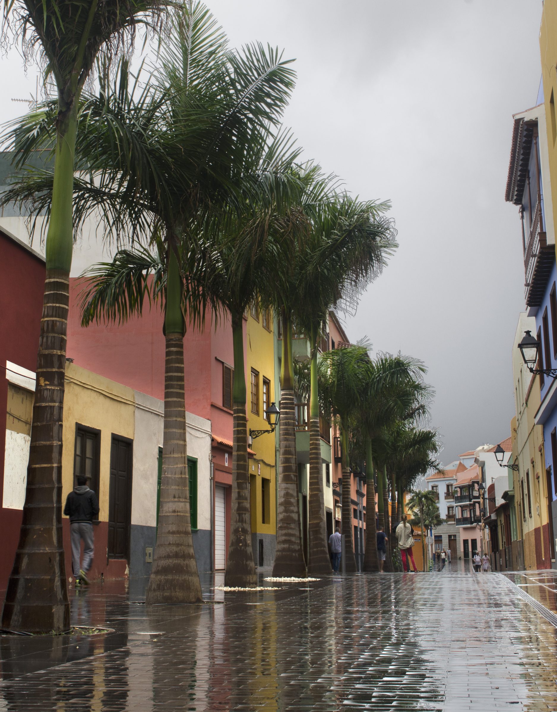 Acondicionamiento de la Calle Mequinez — imagen 2, espacios públicos en Puerto de la Cruz, Tenerife · VDP Arquitectos