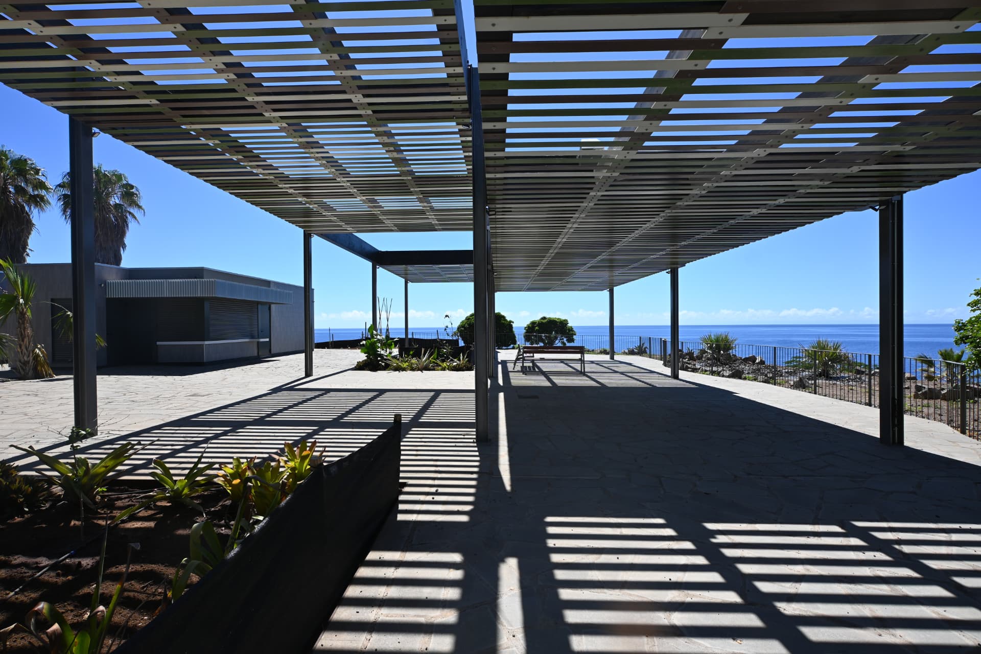 Renovación de la explanada “Caribe Bajo” del Jardín Botánico del Palmetum — proyecto de VDP Arquitectos