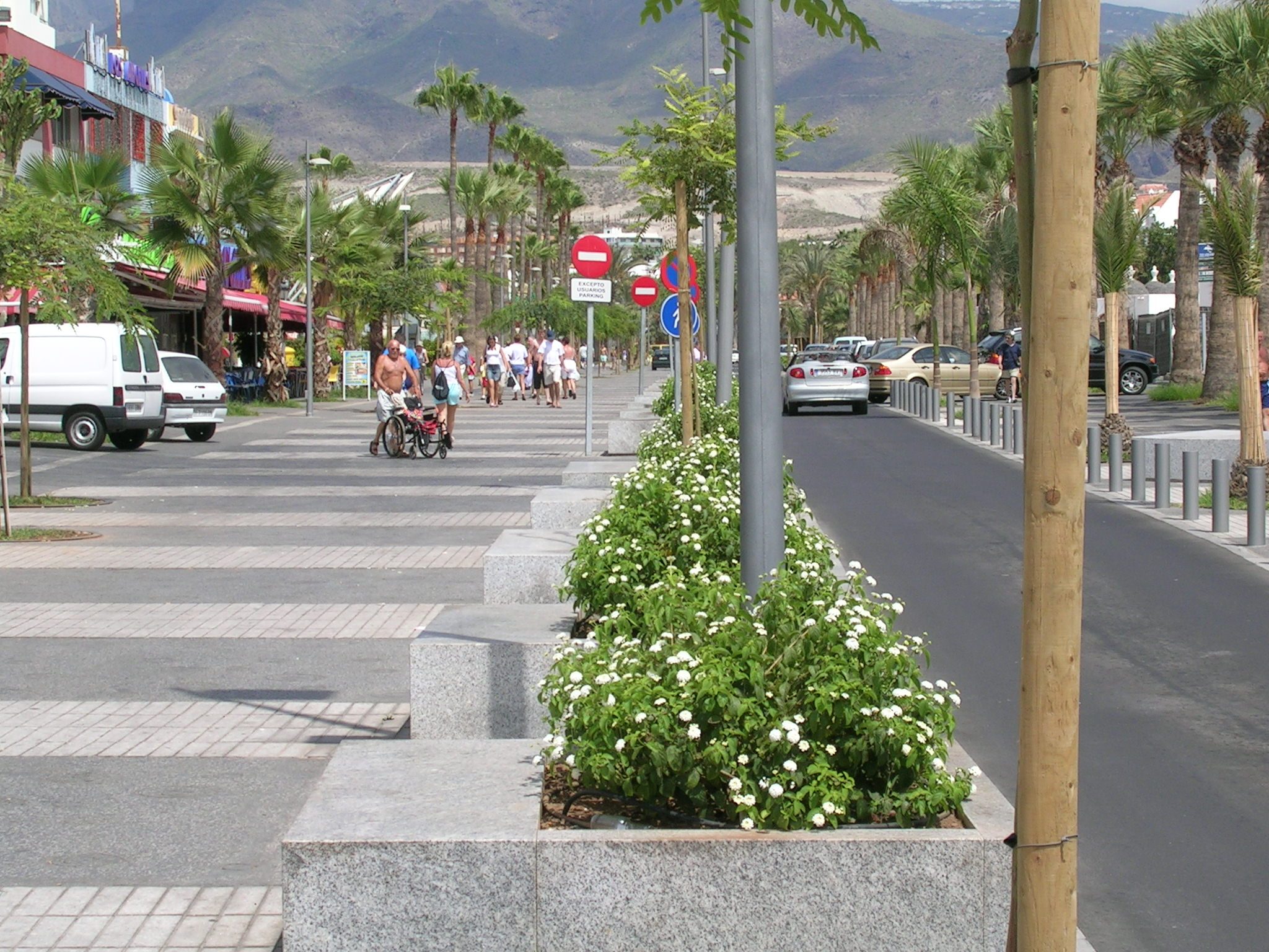 Remodelación de la Avenida Rafael Puig — imagen 4, espacios públicos en Arona y Adeje, Tenerife · VDP Arquitectos