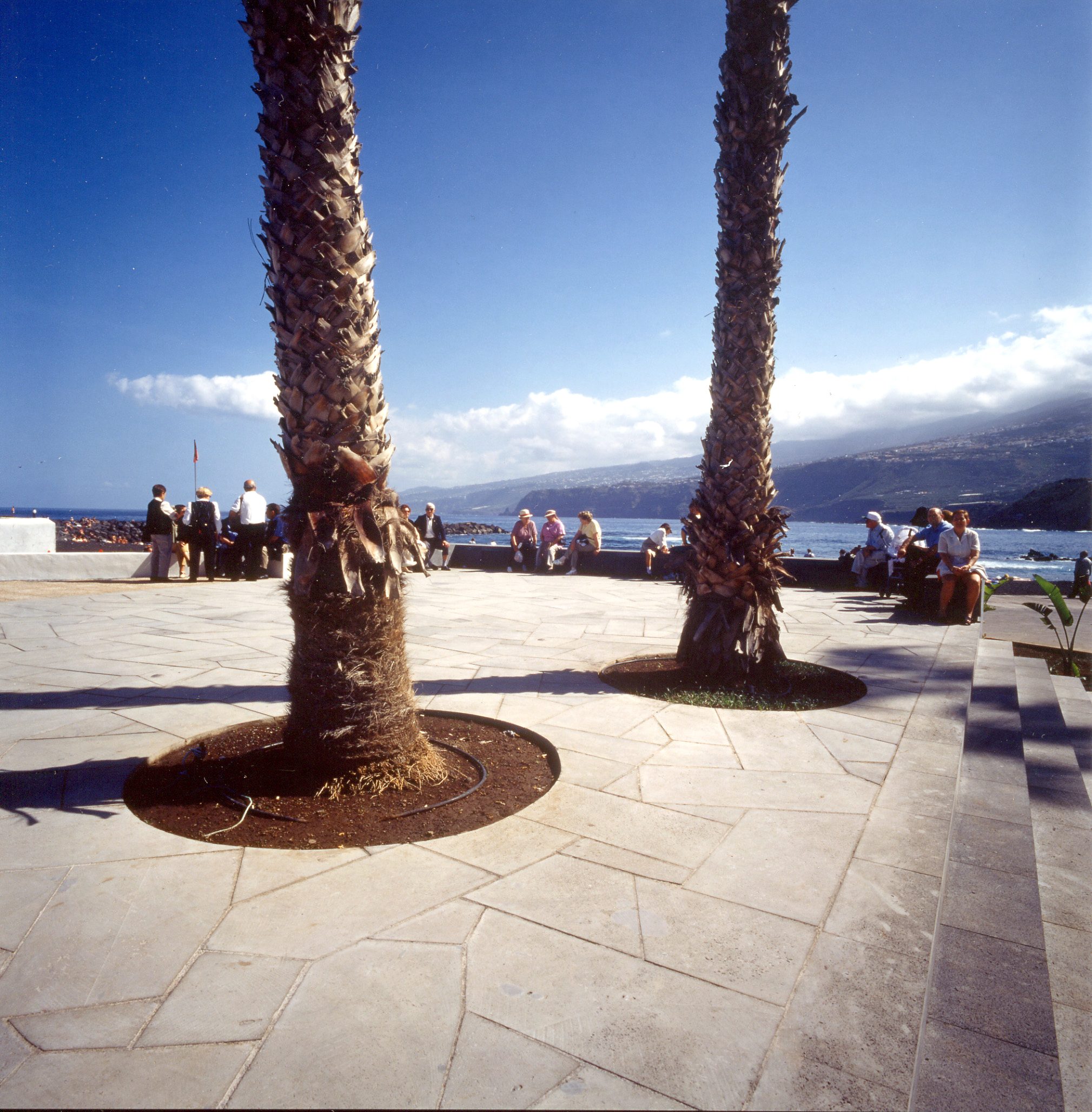 Remodelación del Paseo de Colón — imagen 5, espacios públicos en Puerto de la Cruz, Tenerife · VDP Arquitectos
